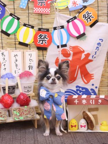 20240719ひめちゃん